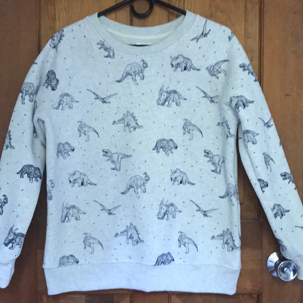 Dinosaur pullover sweatshirt